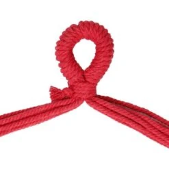 Hamaca Silla Colgante Asiento Columpio Para Jardín+2 Cojines Rojo/verde/amarillo 7 Hamaca Silla Colgante Asiento Columpio Para Jardín+2 Cojines Rojo/verde/amarillo -Mano Mano Ventas 16200131 3