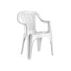 Sillon Monobloc Verona Blanco