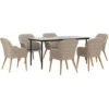 Juego De Comedor Para Jardín 7 Piezas Con Cojines Marrón VidaXL