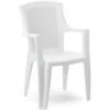 Silla Resina Ratan Respaldo Alto Blanco Eden